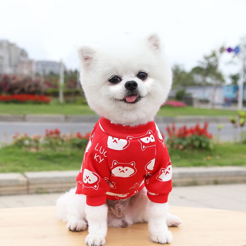 Casaco com capuz para cães pequenos, roupas quentes de inverno para animais de estimação para Bulldog Chihuahua Shih Tzu Moletom para Cães e Gatos
