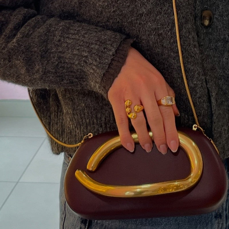 Brand Z Clutch Bag Metal Handle Design Luxury Evening Lipstick Bag Round Box Chain Bag Elegant Woman Shoulder Messenger Bags