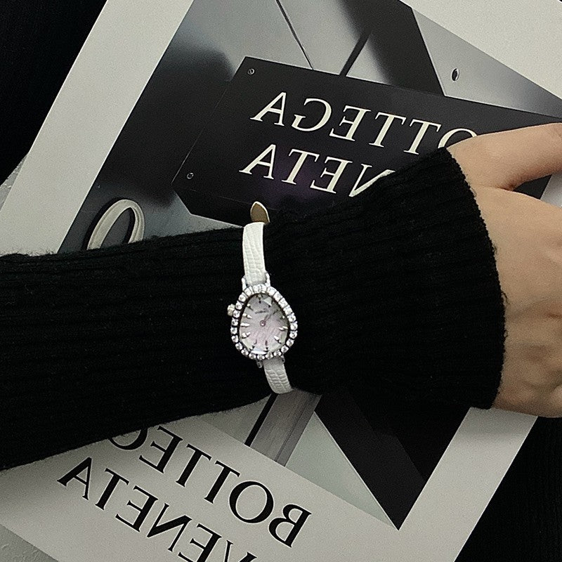 Sotoiru Watches for Woman Fashion Quartz Snake Wristwatches with Qucik Release Strap Original Design Christmas Gift for Woman