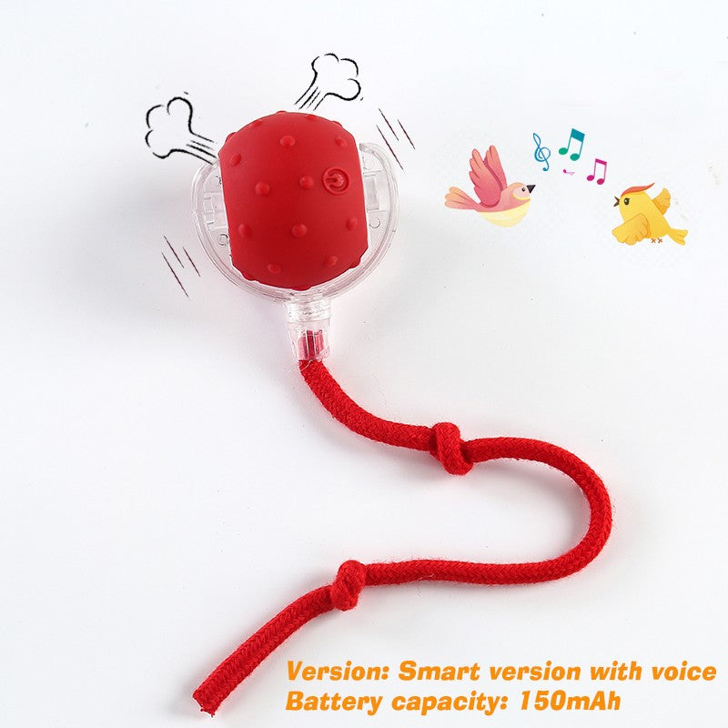 Novo Brinquedo Interativo de Bola para Cães, Bola Automática para Cães Recarregável, Brinquedo Interativo Inteligente para Filhotes, Bolas Inteligentes para Cães