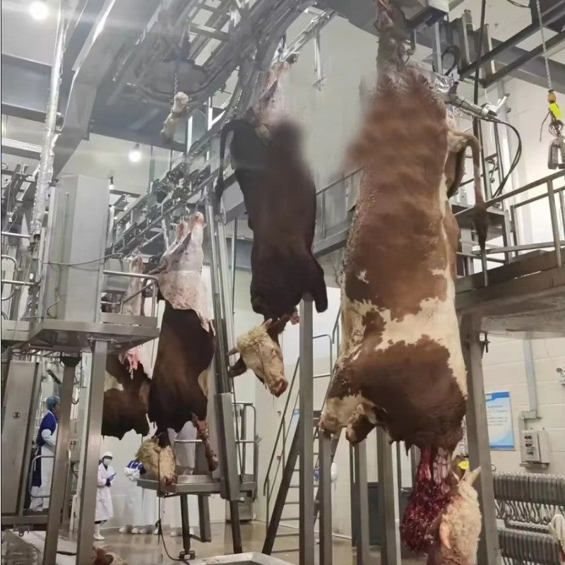 Modern Design Halal Cattle Abattoir Dressing Line Plant Butcher Machinery Beef Slaughterhouse Equipment Cow Slaughter Machine