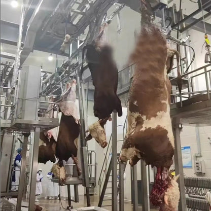 Modern Design Halal Cattle Abattoir Dressing Line Plant Butcher Machinery Beef Slaughterhouse Equipment Cow Slaughter Machine