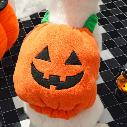 Fantasia de Abóbora Engraçada para Cães no Halloween, Lanterna, Traje de Transformação, Duas Pernas, Animal de Estimação, Chapéu Fofo de Abóbora, Jaqueta para Cães e Gatos