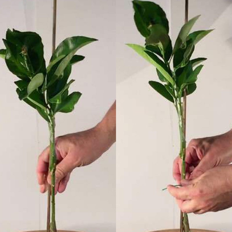 50Pcs 40cm Bamboo Wooden BBQ Skewers Food Bamboo Meat Tool Kitchen Barbecue Party Disposable Long Sticks Catering Grill Camping