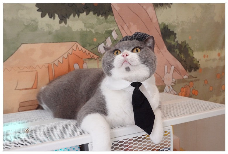 Chapéu Engraçado Para Gatos de Estimação, Boina, Gravata Borboleta, Fantasia de Banho, Gângster Bonito, Adereço de Foto, Fantasia de Halloween Para Animais de Estimação
