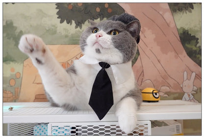 Chapéu Engraçado Para Gatos de Estimação, Boina, Gravata Borboleta, Fantasia de Banho, Gângster Bonito, Adereço de Foto, Fantasia de Halloween Para Animais de Estimação