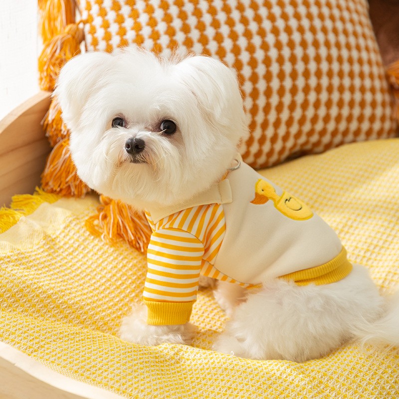 Roupas de inverno para cachorro, Moletom com capuz fofo de desenho animado, quente, para Chihuahua, Bulldog Francês, Roupa para filhotes, Casaco, Fantasia para cães de estimação