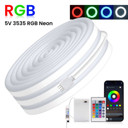 DC5V RGB LED Neon Light AA Battery Powered Bluetooth LED Strip SMD2835 IP65Waterproof Rating 108Leds/m With a remote control