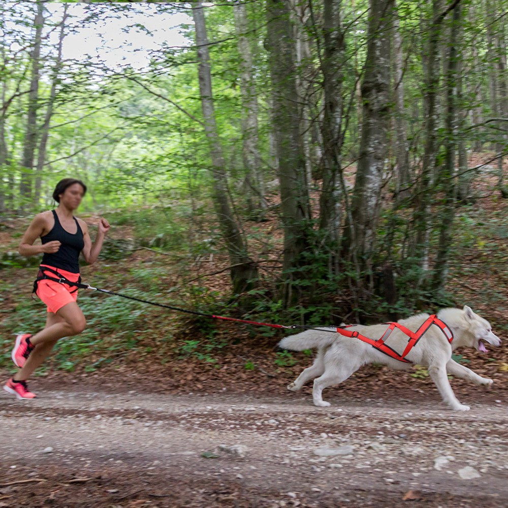Coleira Peitoral Impermeável para Cães de Trenó, Coleira Peitoral Refletiva para Skijoring, Colete de Puxar Peso para Cães Grandes para Treinamento de Animais de Estimação