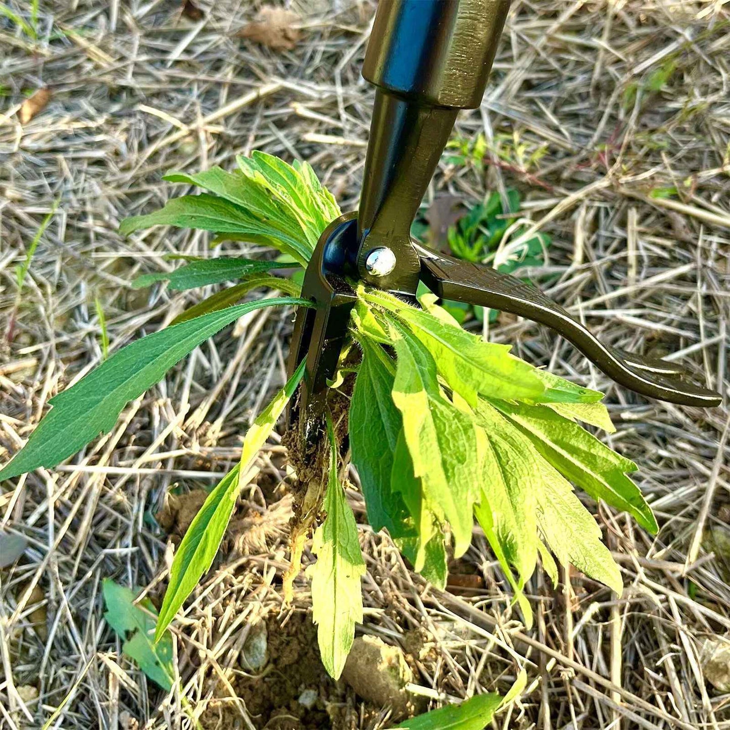 4 Claw Stand Up Weed Puller Stand Up Weed Puller 44 Inch Adjustable Handle 4 Claw Hand Weeding Tool for Garden Lawn Yard