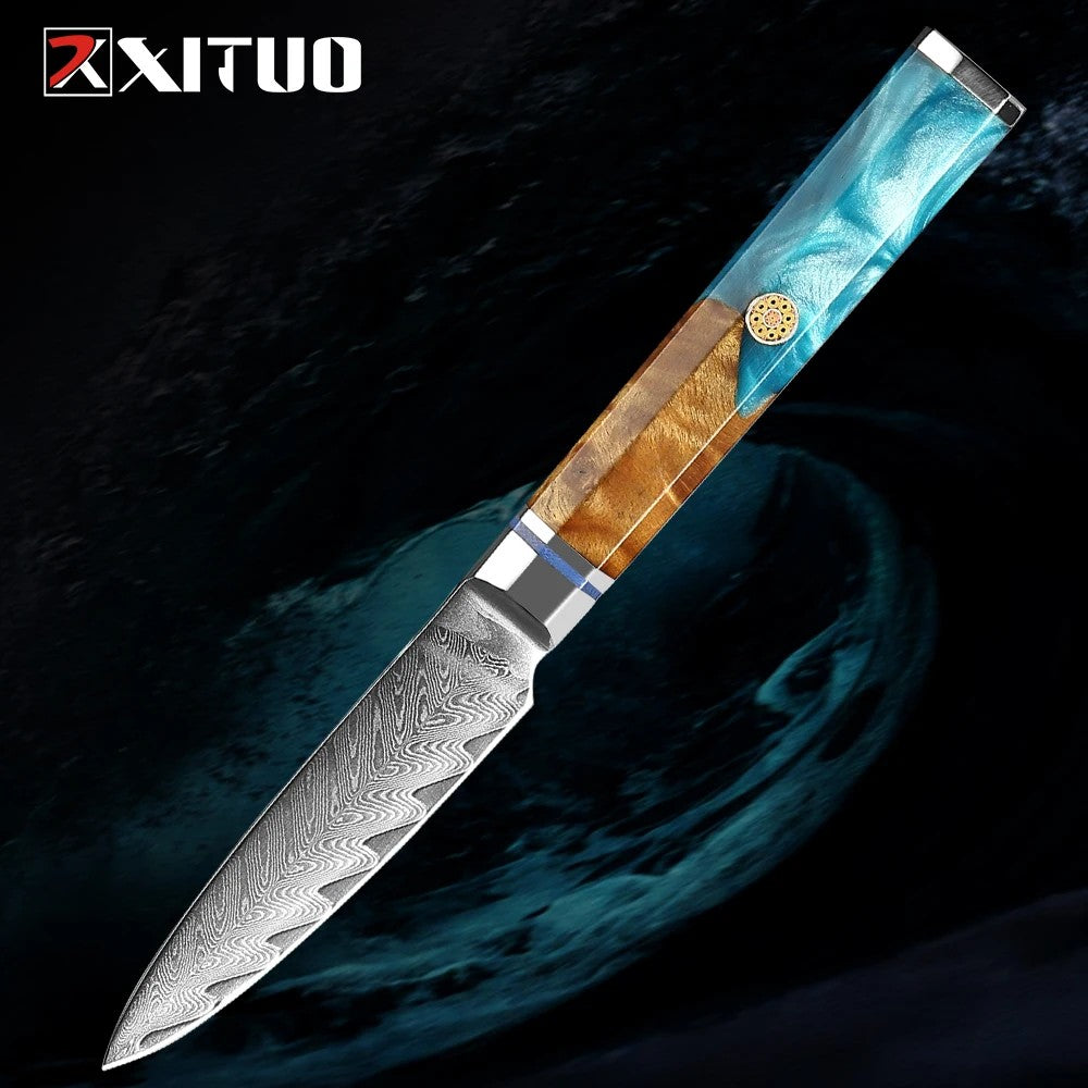 XITUO Damascus Steel Knife Set 1-9PCS Japanese Chef Knife, Santoku, Bread, Utility & Boning Knives-Ultra Sharp, Octagonal Handle