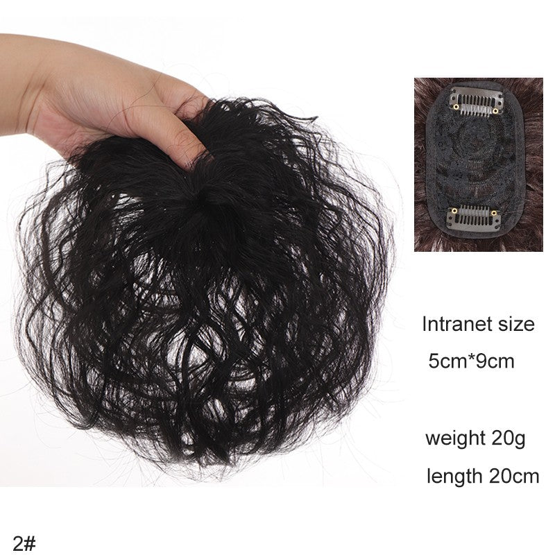 H&STAR Aplique Sintético com Presilha de 8 Polegadas para Mulheres com Cabelos Ralos - Aumenta o Volume do Cabelo, Curto e Cacheado