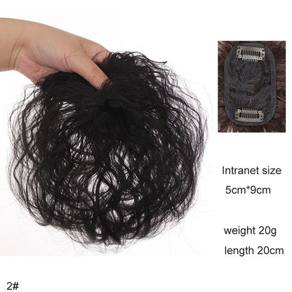 H&STAR Aplique Sintético com Presilha de 8 Polegadas para Mulheres com Cabelos Ralos - Aumenta o Volume do Cabelo, Curto e Cacheado