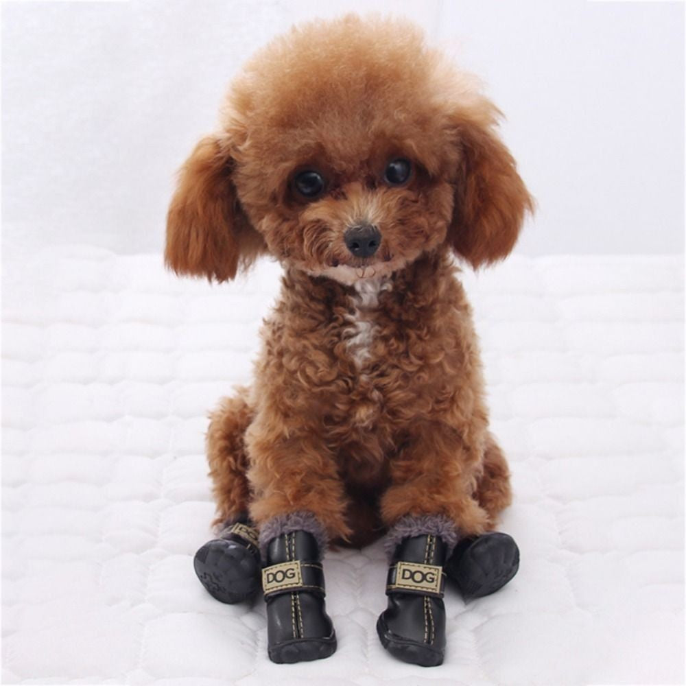 Botas de Chuva Quentes para Cães, Botas de Neve Impermeáveis para Pets, Sapatos Macios de Inverno para Cães, Pelúcia/PU Antiderrapante para Chihuahua, 4 Peças/Conjunto