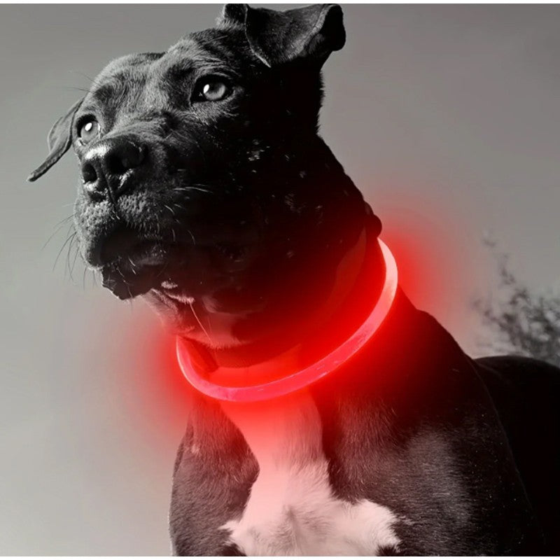 Coleira Luminosa LED para Cães e Gatos, Recarregável USB, Noturna, Anti-perda, Para Cães e Gatos de Pequeno, Médio e Grande Porte, Acessórios de Segurança para Animais de Estimação