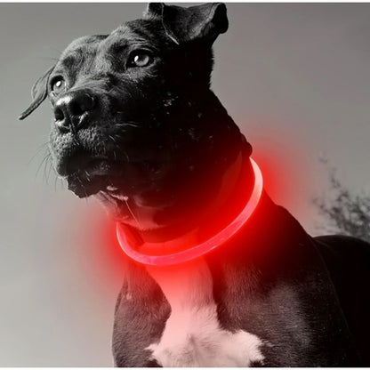 Coleira Luminosa LED para Cães e Gatos, Recarregável USB, Noturna, Anti-perda, Para Cães e Gatos de Pequeno, Médio e Grande Porte, Acessórios de Segurança para Animais de Estimação