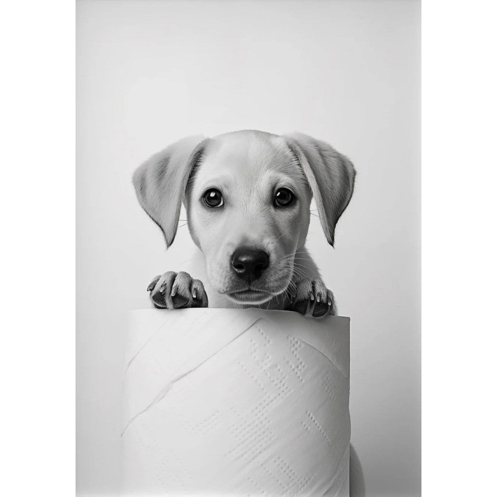 Black and White Cute Animal and Toilet Paper Poster Lion Owl Cat Dog Canvas Painting Wall Art Bathroom Living Room Home Decor