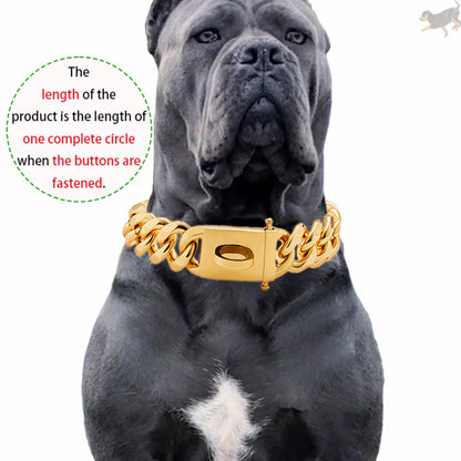 Gold Dog Collar Stainless Steel Metal Pet Choker Silver 19mm Wide Lead for Medium Large Dogs French bulldog Labrador Retriever