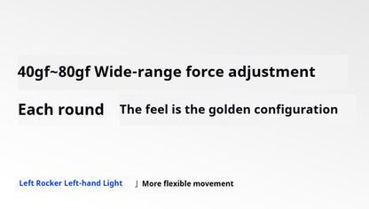 Flydigi Direwolf 4 Gamepad Hall Linear Trigger Force Adjustment Joysticks Wireless Controller for Windows Android IOS Switch1/2