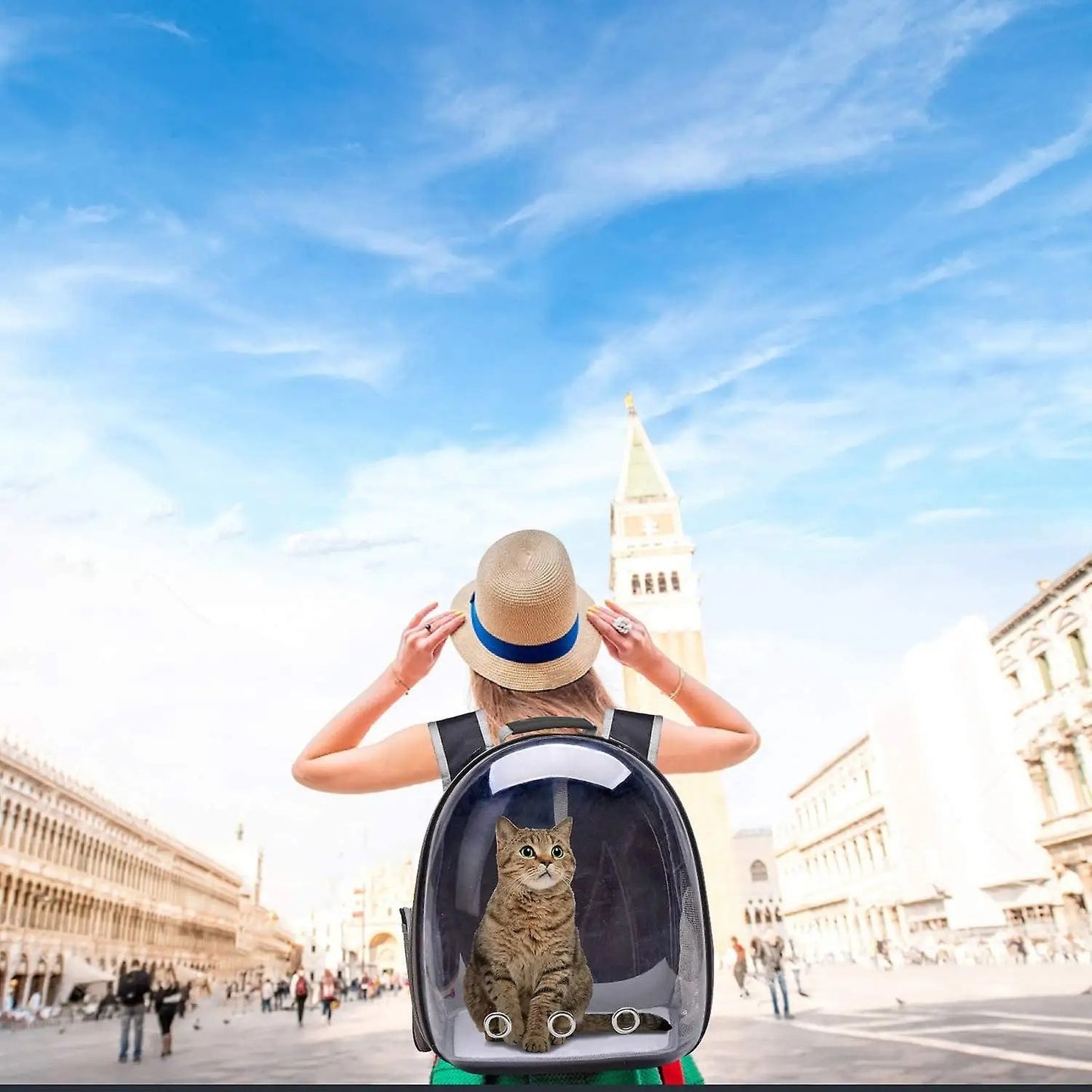 Mochila Transparente Cápsula Espacial para Transporte de Gatos e Pequenos Animais de Estimação, Filhotes, Gatinhos, Pássaros, Respirável para Viagem