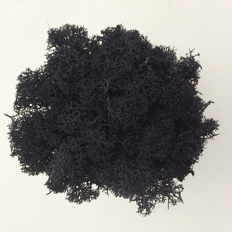 200/1000g Quality Artificial Green Plant Eternal Life Moss Fake Flower Moss Grass Home Living Decorative Wall DIY Micro Landscap