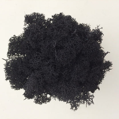 200/1000g Quality Artificial Green Plant Eternal Life Moss Fake Flower Moss Grass Home Living Decorative Wall DIY Micro Landscap