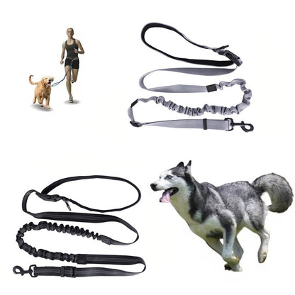Coleira para Cachorro Mãos Livres para Passear, Correr, Caminhar, Ajustável, com Cinto na Cintura, Alça de Peito, Corda de Tração e Acessórios para Cães