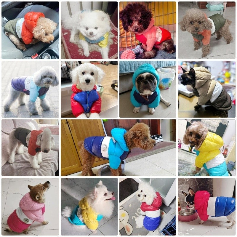 Casaco Acolchoado de Inverno para Cães, Jaqueta de Cachorro Quente e Macia, Roupas Fashion para Filhotes, Casaco Fofo para Gatos, Roupas para Pets, Roupas para Bulldog Francês