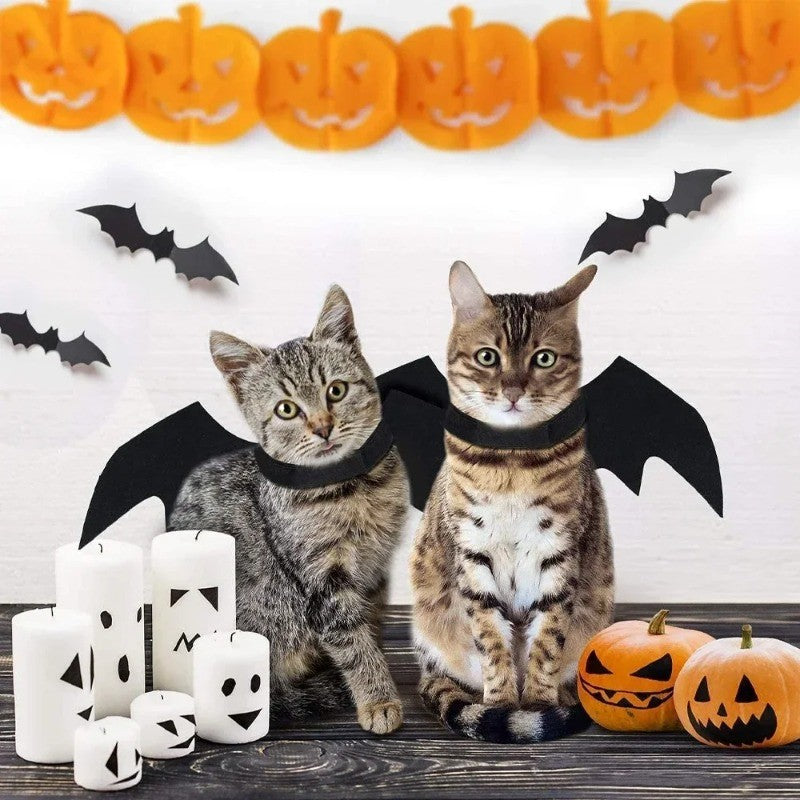 Roupa de Halloween para Cães e Gatos Fantasia Asa de Morcego Preta Colete Cosplay Festa Acessórios para Pets Cães Gatos Decoração