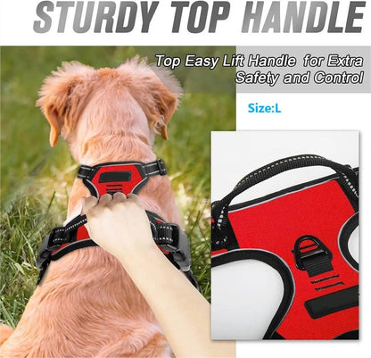 Coleiras de Cachorro Guias Grandes Coletes Loja de Animais Tudo para Cães Acessórios de Couro para Filhotes Médio Pequeno Kit