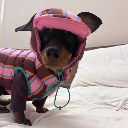 Casaco de Algodão Quente de Inverno Para Cães Pequenos e Médios Filhotes Bichon Teddy Colete Colorido Casaco Jaqueta Roupa de Natal Quente Para Animais de Estimação