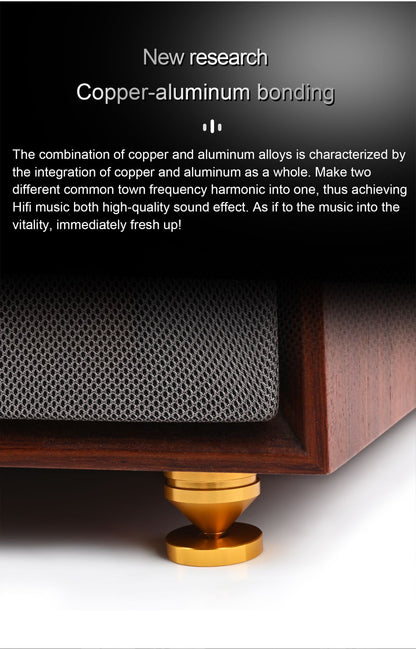 ERUMPENT 4PCS HiFi Speaker Stand Feet Foot Pad High Quality Shock-absorbing Pins Aluminium Alloy Metal Foot Pads for Sound Box