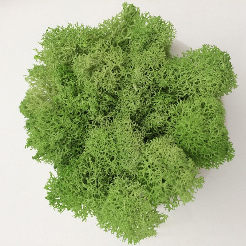 200/1000g Quality Artificial Green Plant Eternal Life Moss Fake Flower Moss Grass Home Living Decorative Wall DIY Micro Landscap