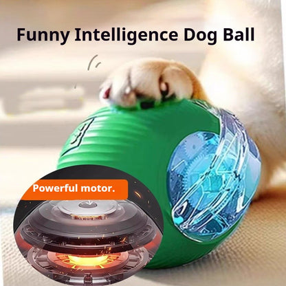 Novo Brinquedo Interativo de Bola para Cães, Bola Automática para Cães Recarregável, Brinquedo Interativo Inteligente para Filhotes, Bolas Inteligentes para Cães