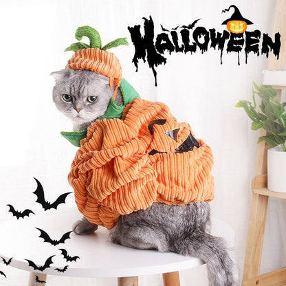 Roupas fofas de Halloween para animais de estimação, modelo de abóbora, traje para animais de estimação em tecido de veludo, vestido engraçado e confortável para cães, gatos e gatinhos de pequeno porte