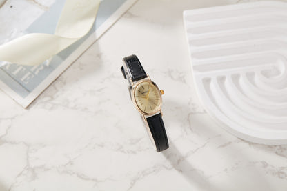 Elegant and fashionable ladies watch simple smooth dial oval case ladies quartz watch