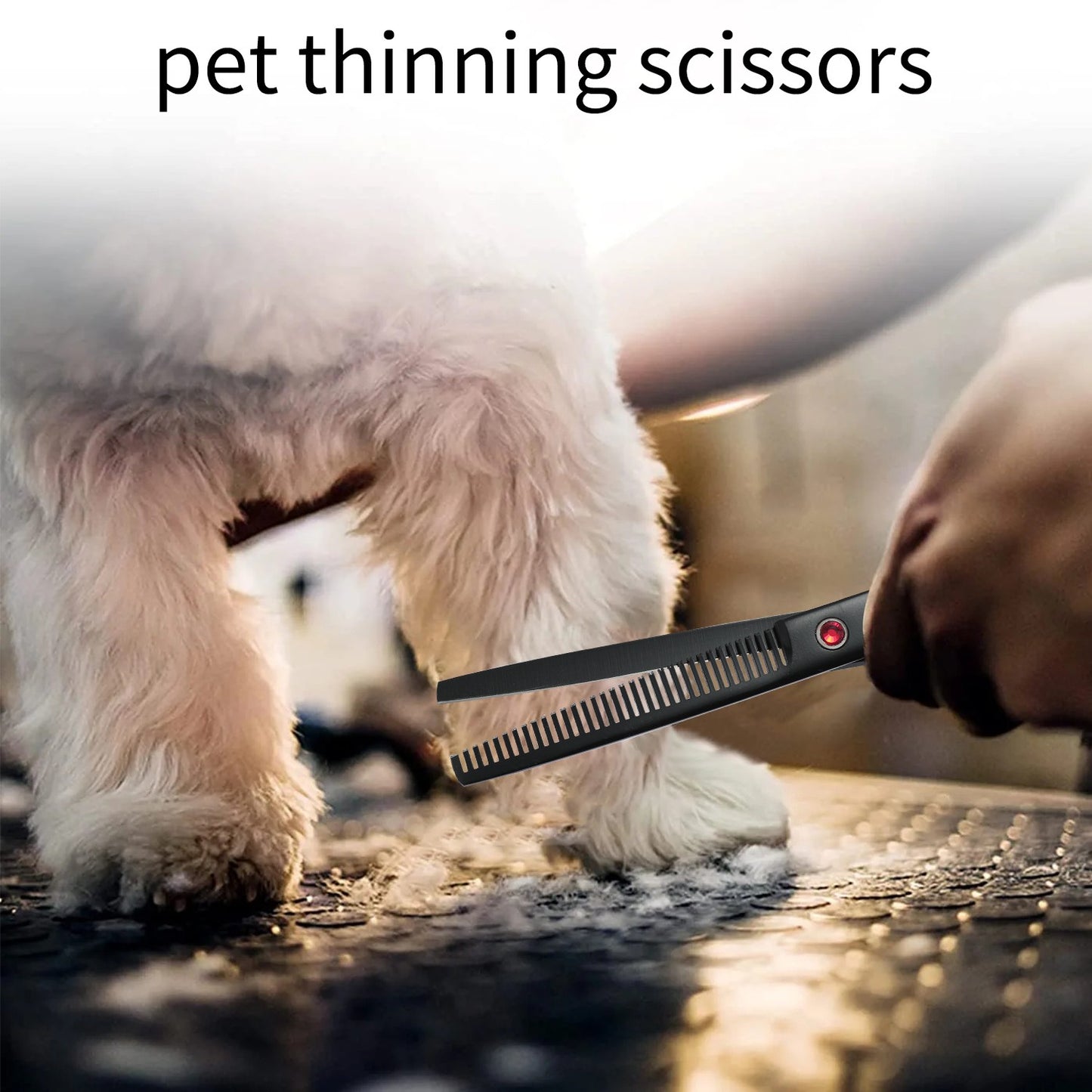 Kit de Tesouras de Aço Inoxidável para Tosa de Animais de Estimação para Destros - Conjunto de 4 Peças com Pontas Redondas de Segurança para Cães e Gatos