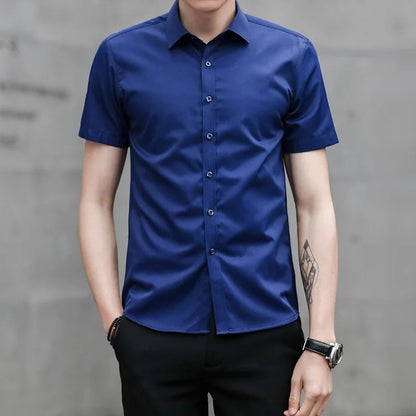 Summer Short Sleeve Men's Dress Shirt Anti-Wrinkle Easy Care Workwear Formal Business Suit Shirt for Sales Professional