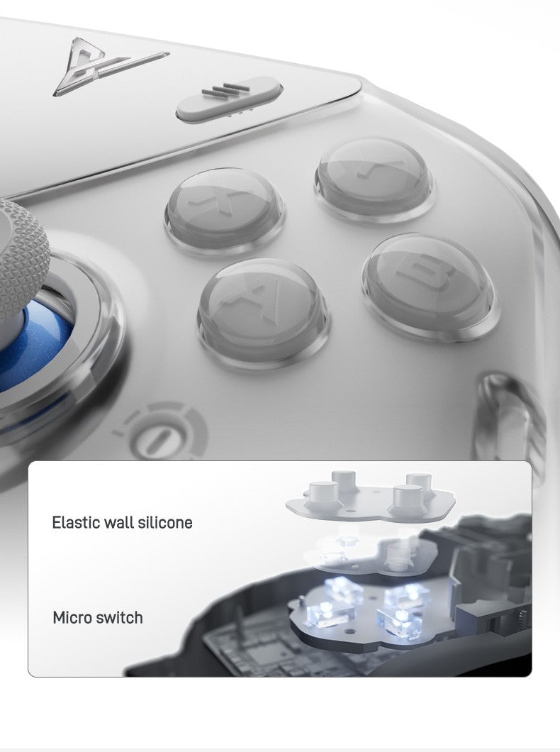 Flydigi Apex 5 Controller Gamepad Wireless Gamepad for PC /Switch/Phone/TV/Tablet Computer, Charging Dock with Cool RGB Screen