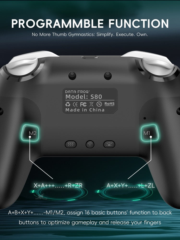 DATA FROG Wireless Pro Gamepad With HD Vibration Ergonomic Grip For Switch 2 Switch Lite Switch OLED Console Gaming Accessories