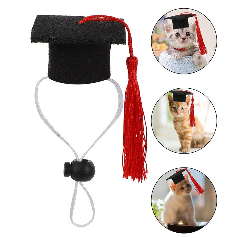 Chapéu de Formatura Pequeno Animal Mini Chapéu de Bacharel com Borla Boné de Estimação Fofo Gravata Borboleta para Gatinho Hamster Acessório de Fantasia para Fotos