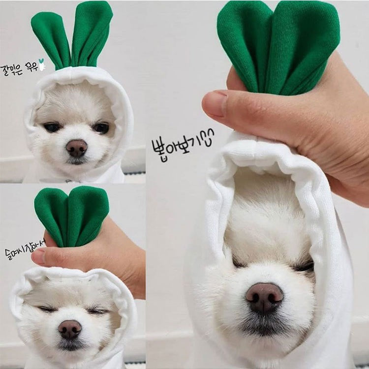 Roupas para Pets Cachorros Moletom com Capuz Fruta Casaco Quente Gato Suéter Fantasia de Inverno para Filhotes Cães de Pequeno Médio Grande Porte e Gatos