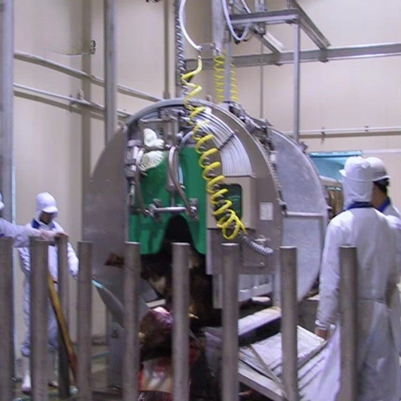 Modern Design Halal Cattle Abattoir Dressing Line Plant Butcher Machinery Beef Slaughterhouse Equipment Cow Slaughter Machine