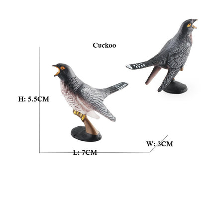 Coruja Flamingo Peru Tucano Seahawk Modelo Animais Estatuetas Plástico Pássaro Brinquedo Boneco de Ação Aventuras na Selva Presentes para Crianças Zoológico da Floresta