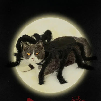 Fantasia de Aranha para Pet Design de Pelúcia Realista Cão Gato Festa Roupa Confortável Segura Fácil de Vestir e Tirar Diversão Celebração Acessórios para Pet
