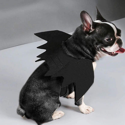 Atacado Fantasia de Cosplay de Gato Fofo Asas de Morcego Cinto de Segurança Role Playing Pet Gato Cachorro Decoração de Festa de Halloween Suprimentos