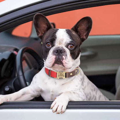 Coleira de cachorro de couro PU personalizada grátis coleira de cachorro gravada coleiras de cachorro ajustáveis fivela de estimação colar de identificação durável para cães pequenos médios grandes Pug
