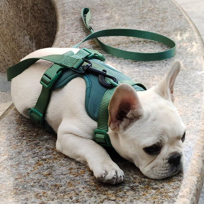 Peitoral para Cães Respirável Leve Ajustável com Alça Peitoral para Caminhada ao Ar Livre Treinamento para Cães Pequenos e Médios