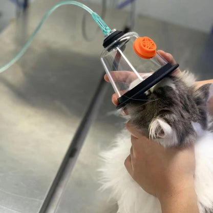 Máscara Respiratória para Animais Kit de Anestesia Animal para Gato Cão Pássaro Cobra Rato com Inalação de Oxigênio Atomização Clínicas Suprimentos Hospitalares