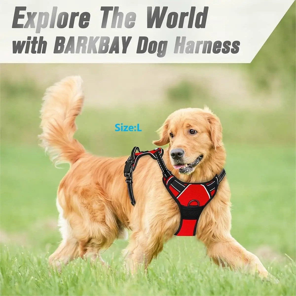 Coleiras de Cachorro Guias Grandes Coletes Loja de Animais Tudo para Cães Acessórios de Couro para Filhotes Médio Pequeno Kit